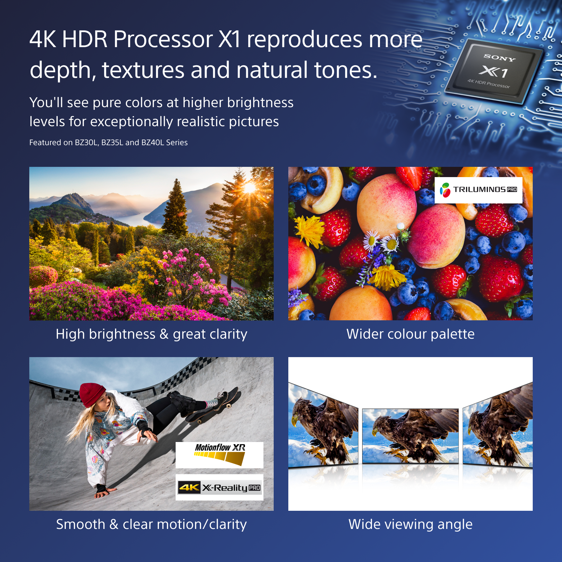 FW85BZ40L 85INCH PRO