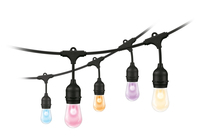 WiZ White & Color String Lights Tunable 120lm Einzelpack WiZ White & Color String Lights Tunable 120lm Einzelpack