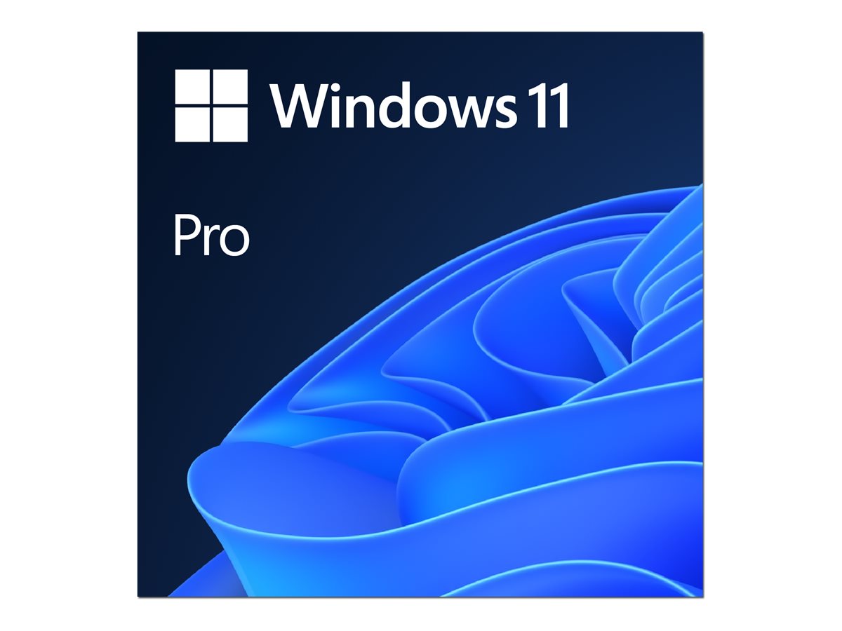 MS ESD Windows Professional 11 64bit All Languages Online Product Key License 1 License Downloadable ESD NR