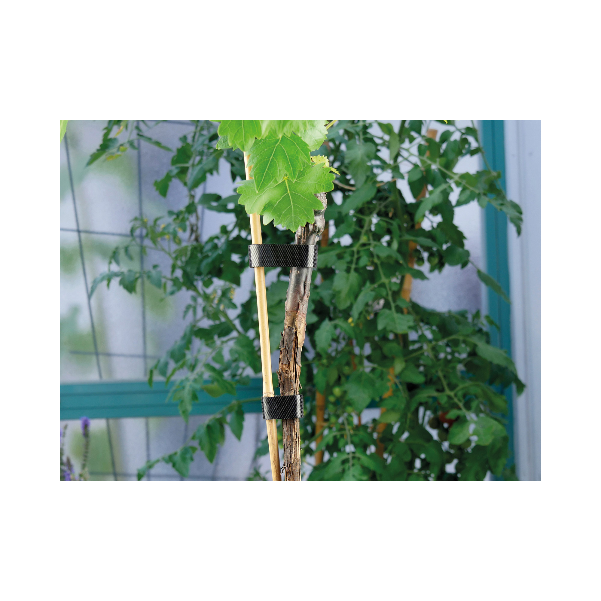 LABEL THE CABLE Klettband ROLL STRAP PRO schwarz