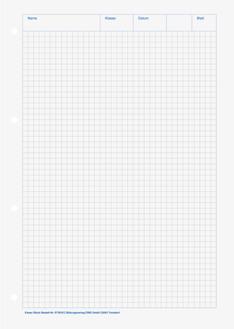 BRUNNEN Arbeitsblock Kieserblock gelocht DIN A4 kariert Lineatur 15C, 1 Block