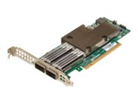BROADCOM P2100G 2x 100G QSFP56 PCIe 40 x16 B