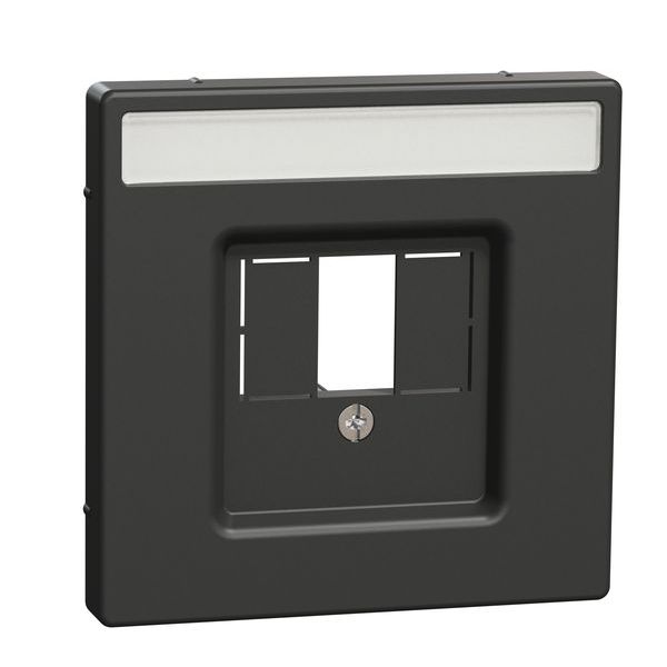 Merten Zentralplatte Design MEG42506034it Schriftfeld Anthrazit