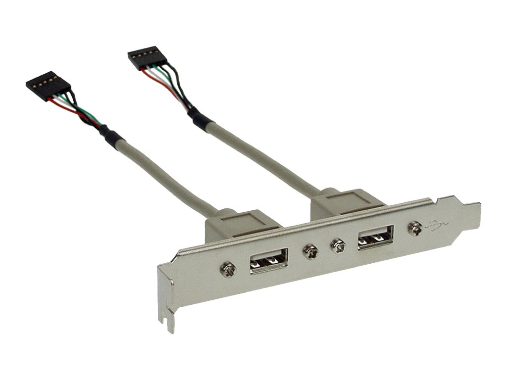 INLINE Slotblech USB 2.0 2x USB Buchse auf 2x 5pol Pfostenverbinder 0,3m