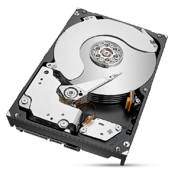 Seagate IronWolf Pro ST8000NT001 8 TB intern
