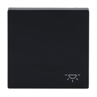 Busch-Jaeger Wippe 2520 LI-81 Symbol Licht anthrazit Busch-Jaeger Wippe 2520 LI-81 Symbol Licht anthrazit