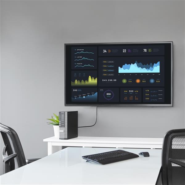STARTECHCOM 18m DisplayPort to DVI Cable MM