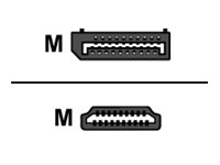 helos Anschlusskabel, DisplayPort Stecker/HDMI Stecker, PREMIUM, 1,0m, schwarz helos Anschlusskabel, DisplayPort Stecker/HDMI Stecker, PREMIUM, 1,0m, schwarz