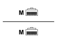 Draka Patchkabel S/FTP Cat 6a HQ TM21 (EIA/TIA) schwarz 0,3m Draka Patchkabel S/FTP Cat 6a HQ TM21 (EIA/TIA) schwarz 0,3m