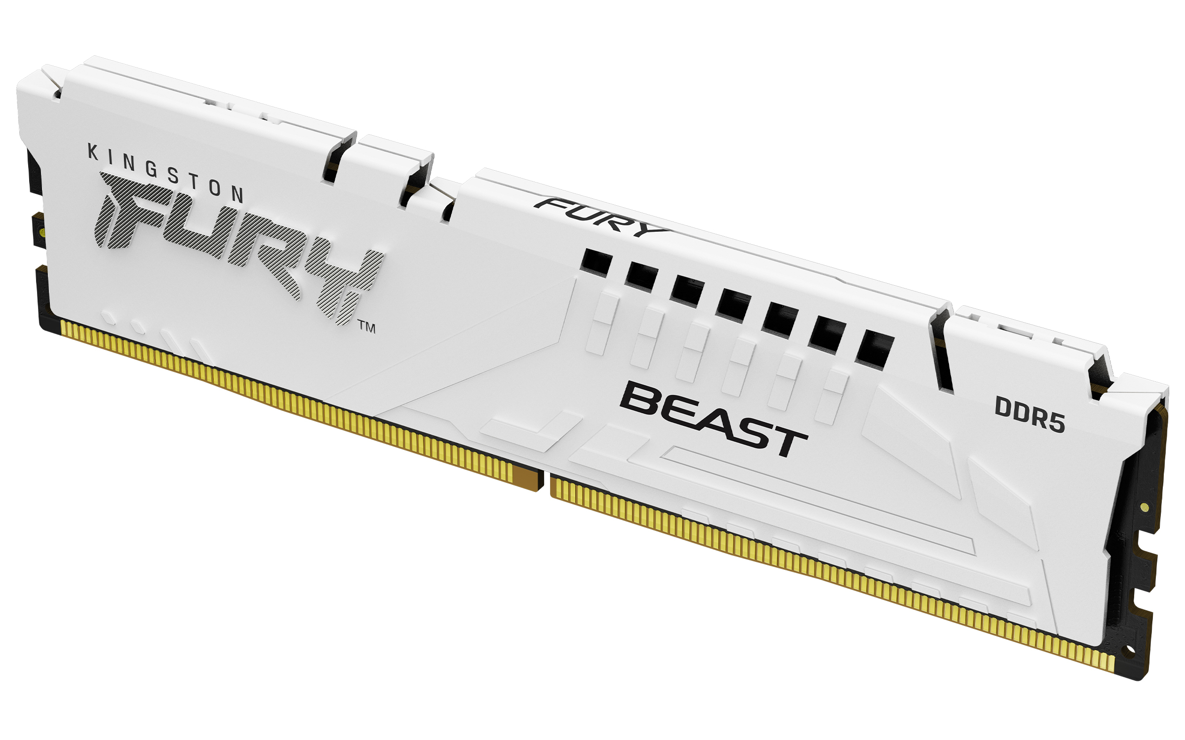 Kingston FURY Beast 32GB DDR5 CL36