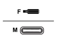 helos Adapterkabel, USB 3.1 Type-C St./Klinkenbuchse 3,5mm, PREMIUM, silber helos Adapterkabel, USB 3.1 Type-C St./Klinkenbuchse 3,5mm, PREMIUM, silber
