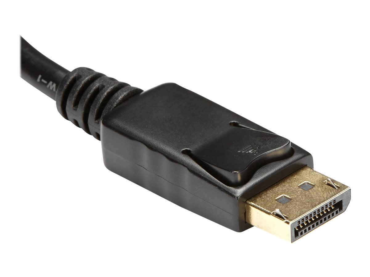 StarTech.com DisplayPort auf HDMI Video Adapter / Konverter (Stecker/Buchse) - DP zu HDMI mit bis zu 1920x1200 - DP / HDMI Länge 25cm - Videoanschluß - DisplayPort / HDMI - 26.5 cm
