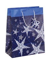 5 SIGEL Geschenktaschen Shining Star Motiv 26,0 x 33,0 cm 5 SIGEL Geschenktaschen Shining Star Motiv 26,0 x 33,0 cm
