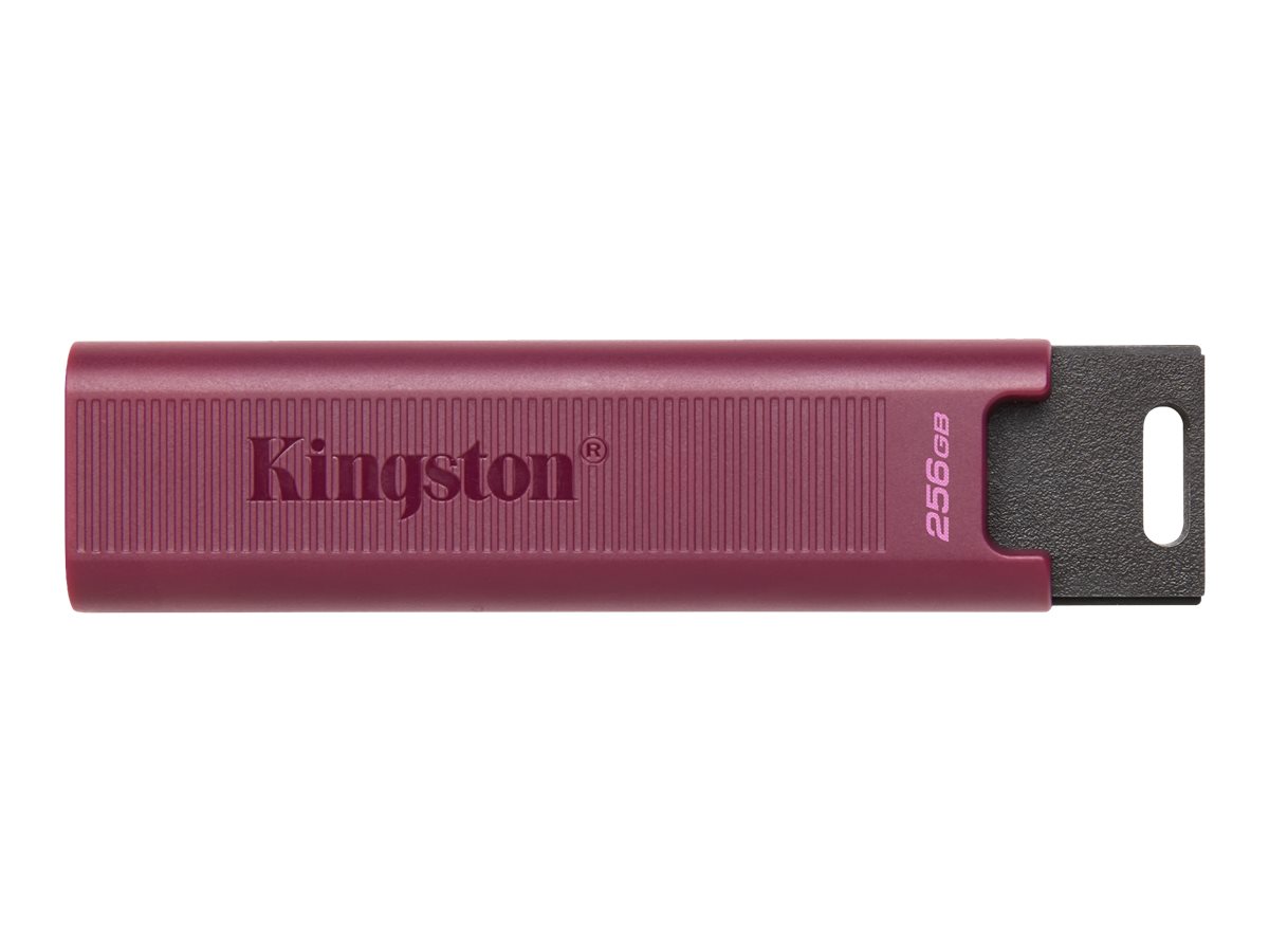 KINGSTON 256GB USB3.2 TypeA DataTraveler KINGSTON 256GB USB3.2 TypeA DataTraveler