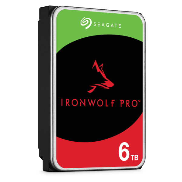 Seagate IronWolf Pro ST6000NT001 6 TB intern