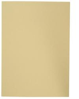100 ELBA Aktendeckel Smart Line DIN A4 chamois 100 ELBA Aktendeckel Smart Line DIN A4 chamois