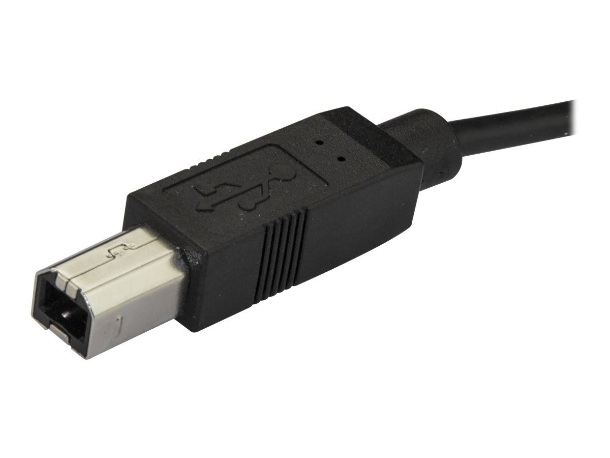 StarTech 2m 6ft USB C to USB B Cable USB 20 USB Type C Printer Cable MM USB 20 TypeC to TypeB Cable