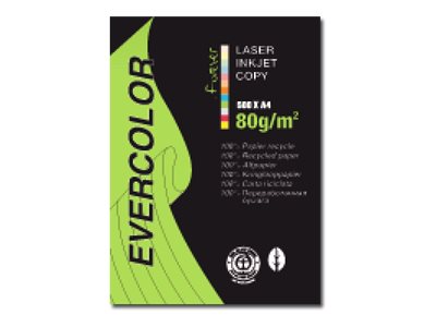 Clairefontaine Recyclingpapier Evercolor lindgrün DIN A4 80 gqm 500 Blatt