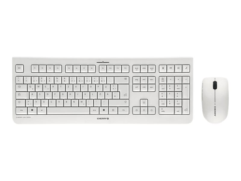 CHERRY DW 3000 Tastatur-Maus-Set kabellos grau