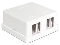 Delock Keystone Leergeh?use 2 Port wei?