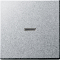Gira Wippe 029026 Kontrollfenster System 55 Alu Gira Wippe 029026 Kontrollfenster System 55 Alu