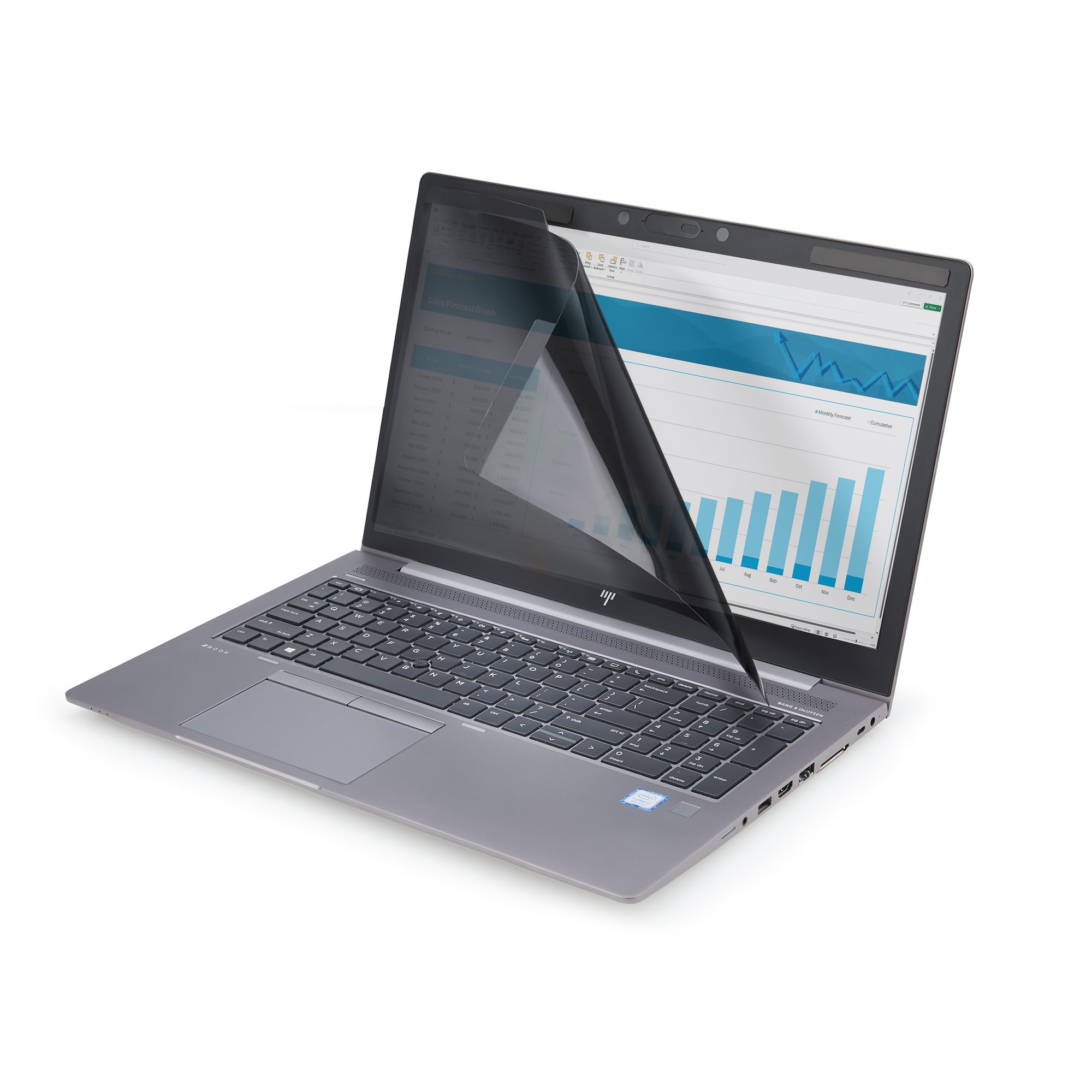 STARTECHCOM Magnetischer Blickschutz fur 40,64cm 16Zoll 1610 Laptop Laptop BlickschutzfolieSichtschutzfolie TAA Blaulichtfilter