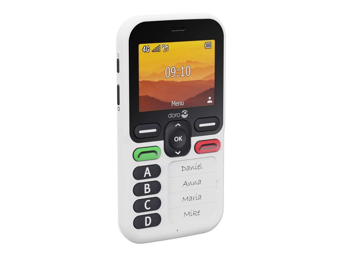 Doro Leva X10 4G, Grosstastenhandy