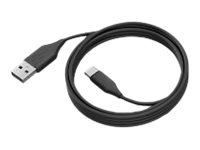 Jabra PanaCast 50 Power Cable EU schwarz