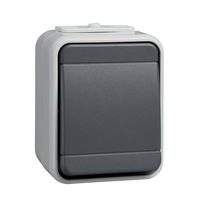 Elso Taster 442109 10A AquaTop licht/basaltgrau Elso Taster 442109 10A AquaTop licht/basaltgrau