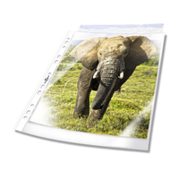 100 DURABLE Prospekthuellen DIN A4 transparent genarbt 0,06 mm 100 DURABLE Prospekthuellen DIN A4 transparent genarbt 0,06 mm