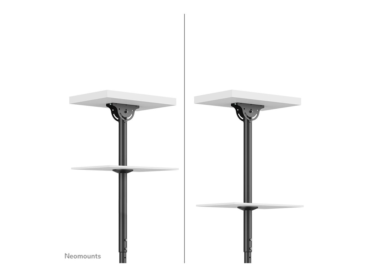 NEOMOUNTS Flat Screen Ceiling Mount Height 250-300cm NEOMOUNTS Flat Screen Ceiling Mount Height 250-300cm