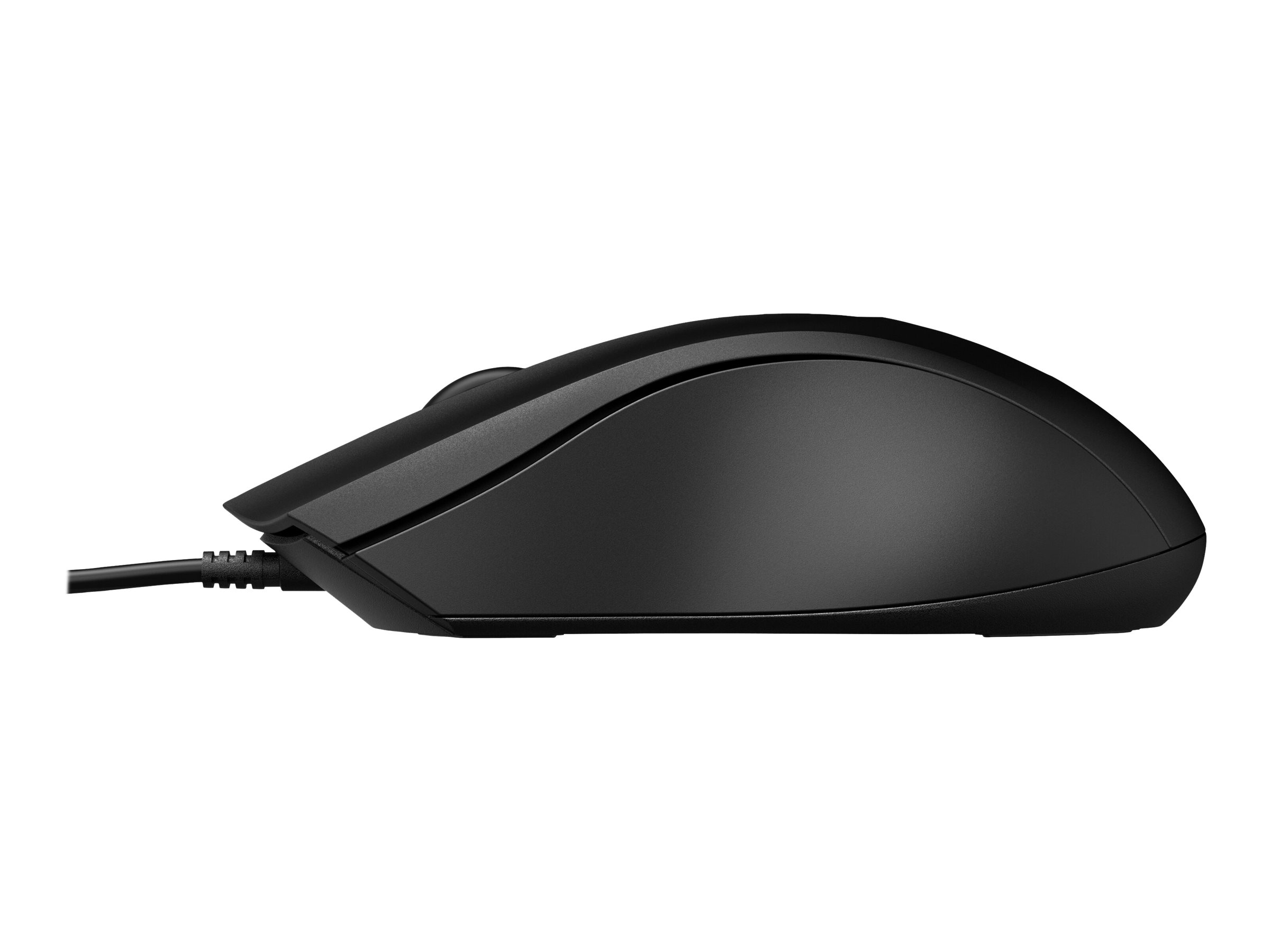 HP 100 BLK WRD Maus (P)