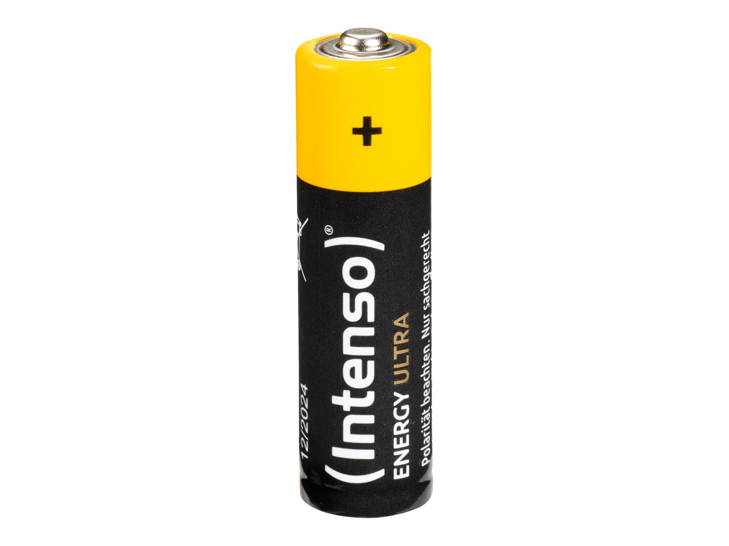 INTENSO Batterien 10er Pack