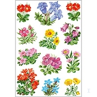 HERMA Aufkleber 3582 Blumen, 36 Etiketten