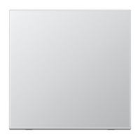 Jung Steuertaste AL1700 Standard