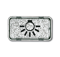 Busch-Jaeger Symbol 2622 LI-101 Licht glasklar Busch-Jaeger Symbol 2622 LI-101 Licht glasklar