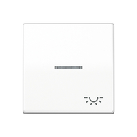 Jung Wippe AS591KO5LWW mit Symbol Licht Jung Wippe AS591KO5LWW mit Symbol Licht