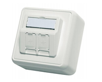 TGT Modul-Aufnahme AP 80x80 2-fach 30° Auslass, alpinweiss, unbestückt TGT Modul-Aufnahme AP 80x80 2-fach 30° Auslass, alpinweiss, unbestückt