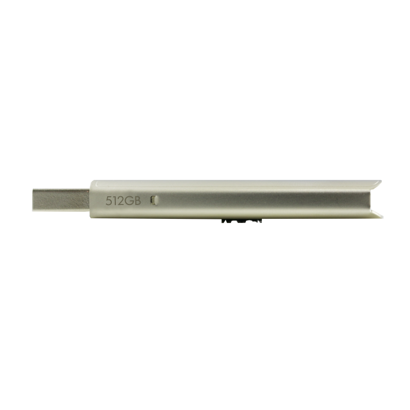 HP USBStick x796w metallic 256 GB, 1 St