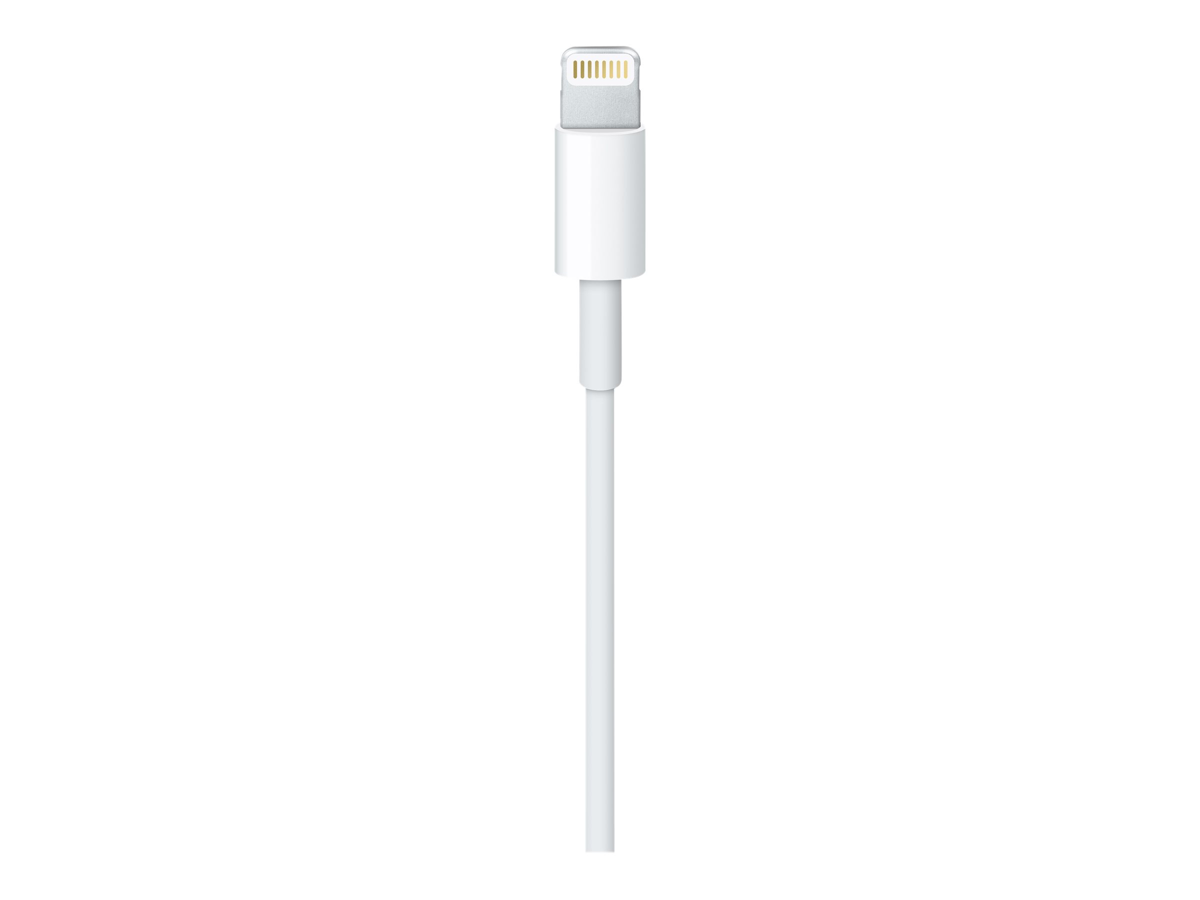 Apple Lightning auf USB Kabel (1Â m)
