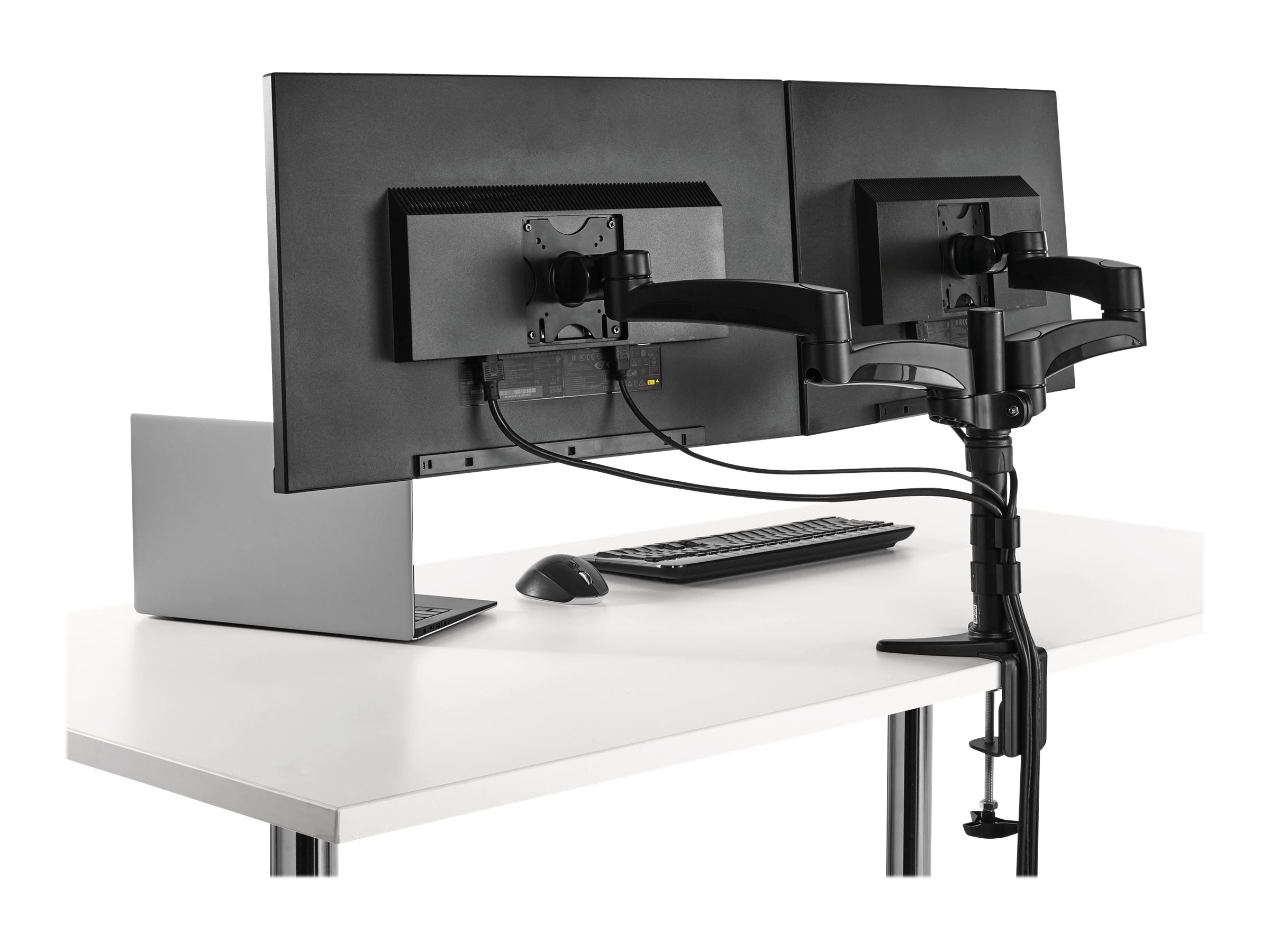 StarTech.com Dual Monitorhalterung mit verstellbaren Armen - Monitor Tischhalterung (12 bis 24) höhenverstellbar mit Kabelführung - Tischhalterung (einstellbarer Arm)