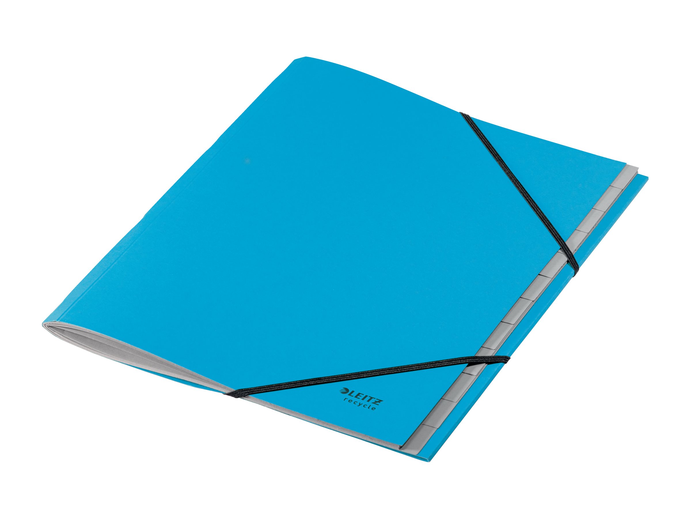 LEITZ Ordnungsmappe recycle 3915 12 Faecher blau LEITZ Ordnungsmappe recycle 3915 12 Faecher blau