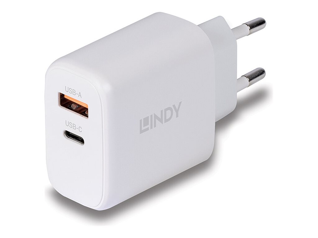 LINDY 65W USB Type C GaN Charger mit EU-Stecker