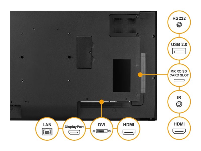 AG neovo PD55Q 1387cm55 LED black Speditionsversand