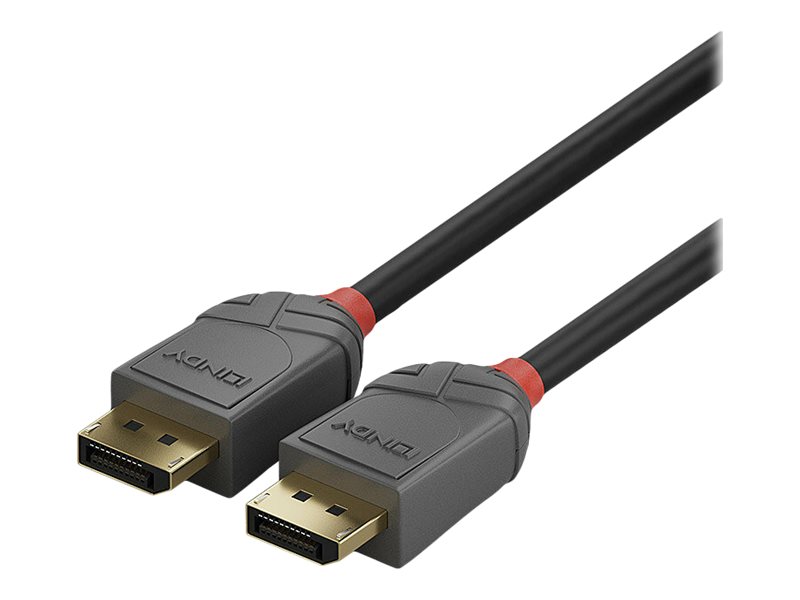 LINDY 3m DisplayPort 1.4 Kabel, Anthra Line