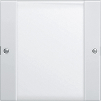 Gira Wippenset 213103 1fach BSF System 55 Klar/rw Gira Wippenset 213103 1fach BSF System 55 Klar/rw