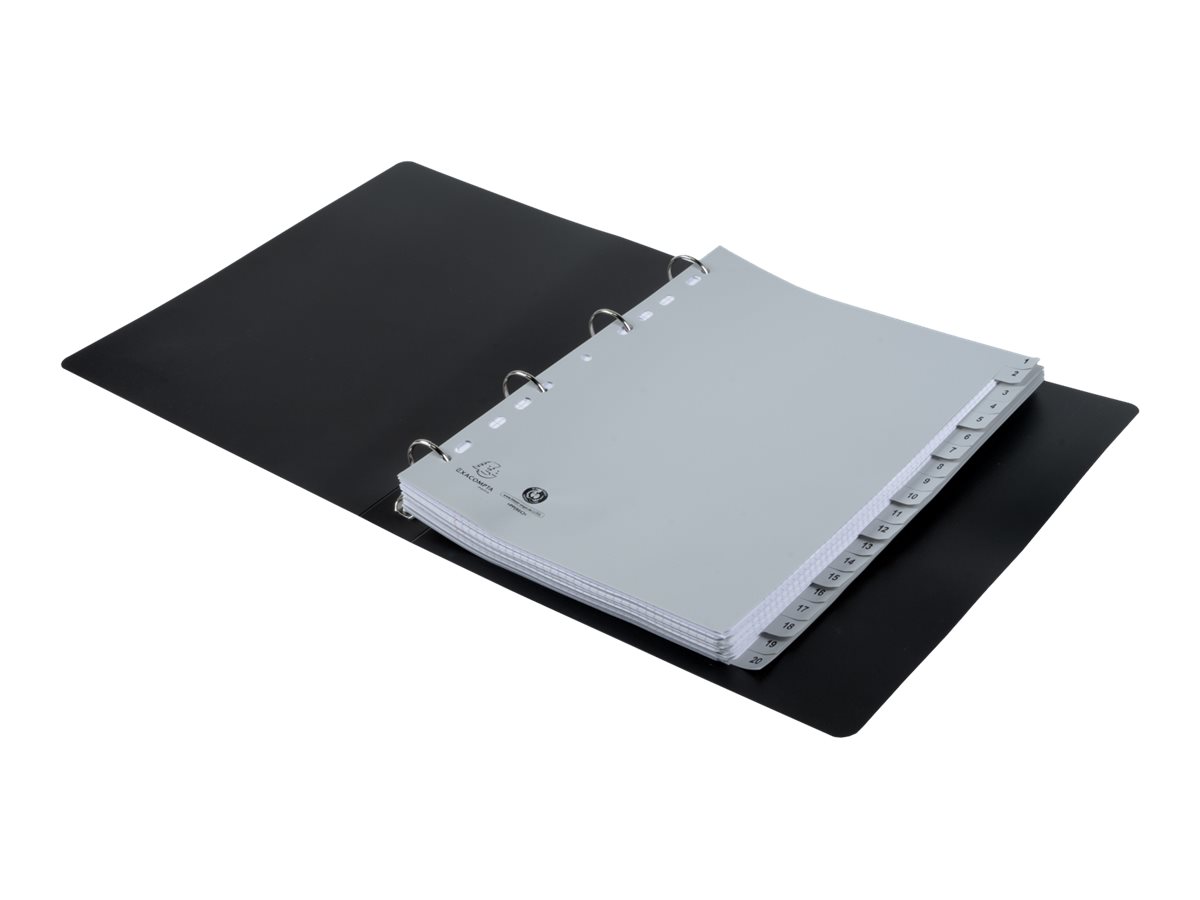 Exacompta Ordnerregister Vollformat 1-20 grau 20-teilig, 1 Satz Exacompta Ordnerregister Vollformat 1-20 grau 20-teilig, 1 Satz