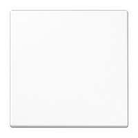 Jung Wippe LS990WW für Schalter/Taster