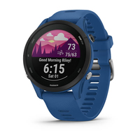 Forerunner 255 Basic Tidal Blue