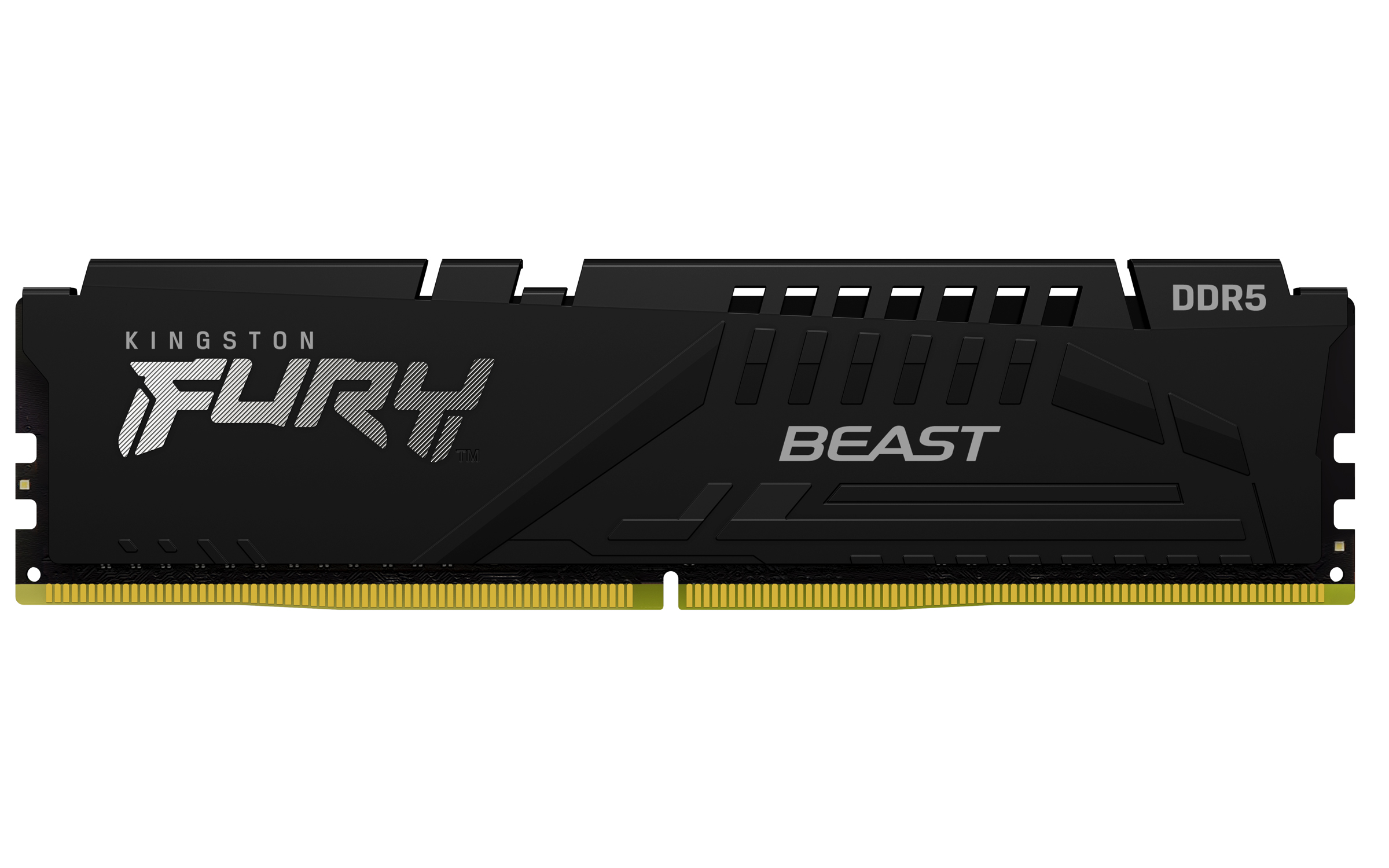 Kingston FURY Beast DDR5-5600 32 GB